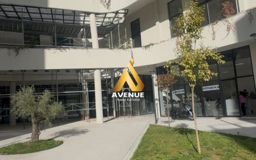 Ambient Biznesi / Apartament 2+1+2 me qira – Vasil Shanto