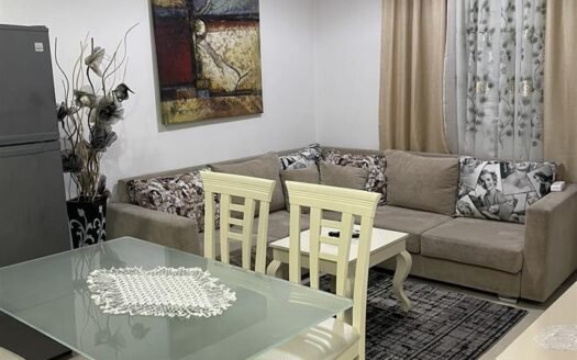 JEPET ME QERA APARTAMENT 1+1, KOMUNA E PARISIT, TIRANE