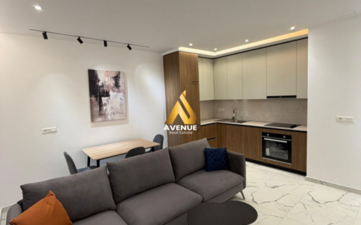 Jepet me Qera Apartament 1+1 – Zogu i Zi