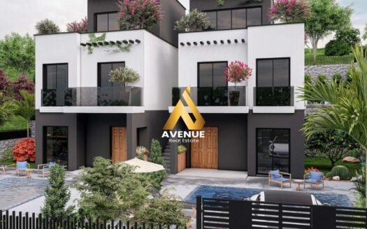 SHITET VILË ELITARE NË BORSH