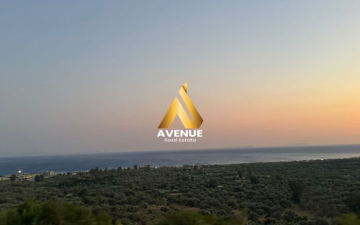 SHITET TOKE NE BORSH