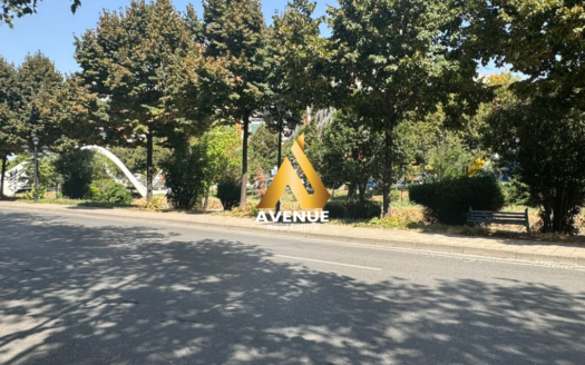 JEPET ME QERA AMBIENT BIZNESI – Bulevardi Bajram Curri