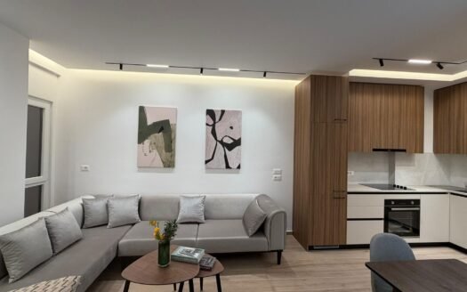 APARTAMENT ME QERA  1+1 – ZOGU ZI ,TIRANE