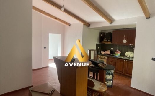 SHITET APARTAMENT 1+1 NE BLLOK, TIRANE